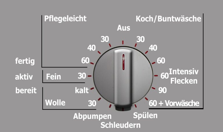 Planetaria: ecco quale scegliere e le 3 ricette base per iniziare