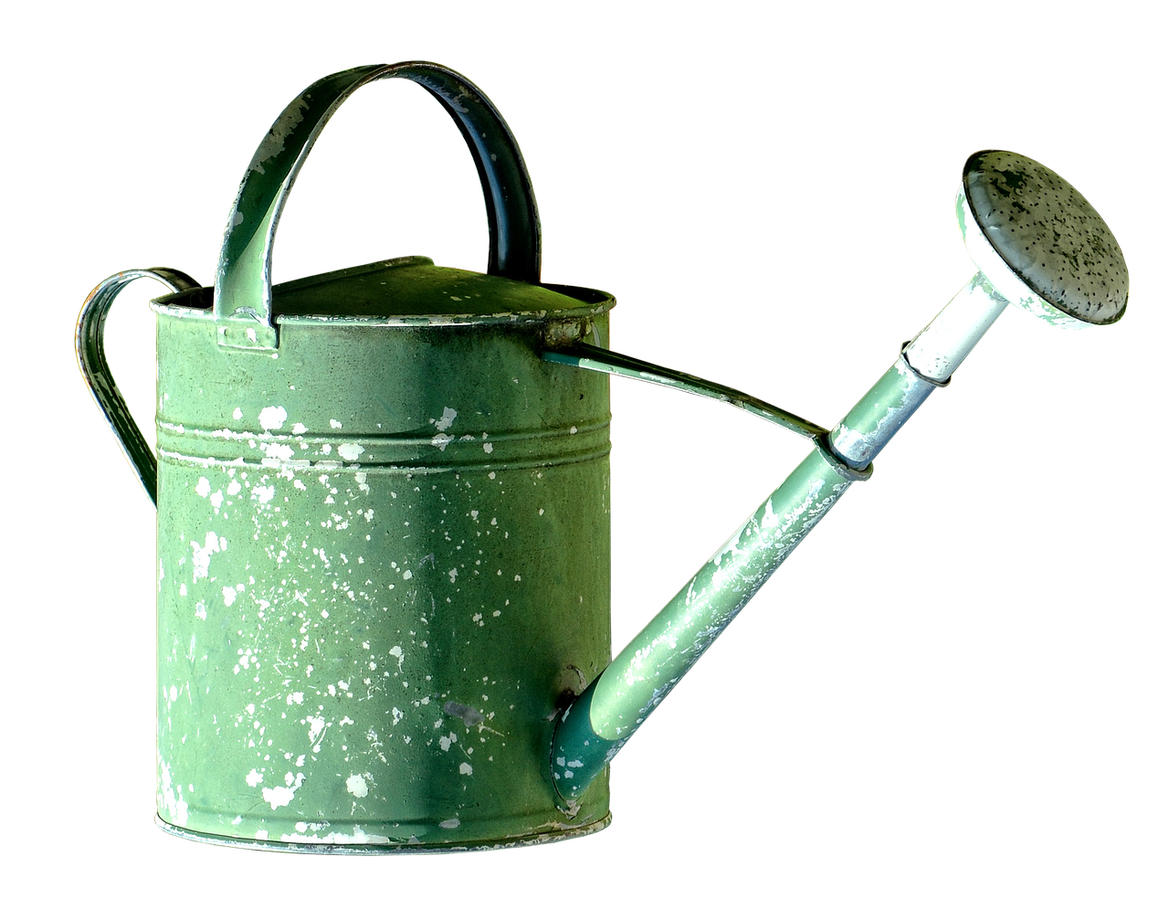 Rimedio naturale per eliminare la ruggine dalle piante in giardino.